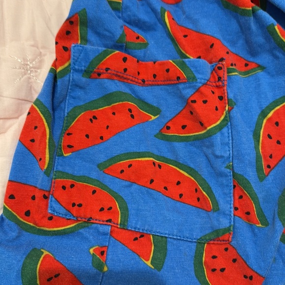 Hanna Andersson Blue Dress with Red Watermelon Print - Picture 2 of 4
